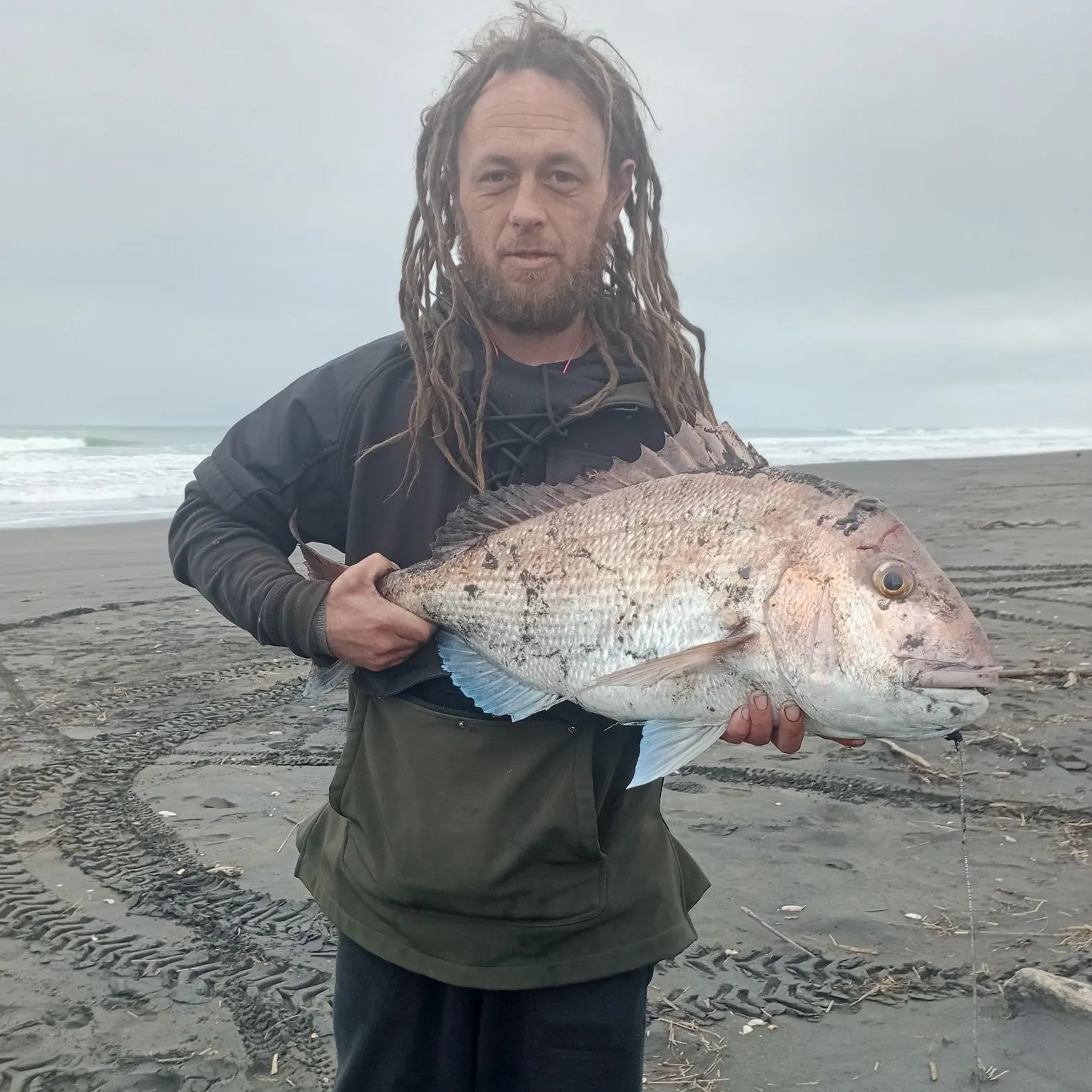 The most recent Australasian snapper catches on Fishbrain