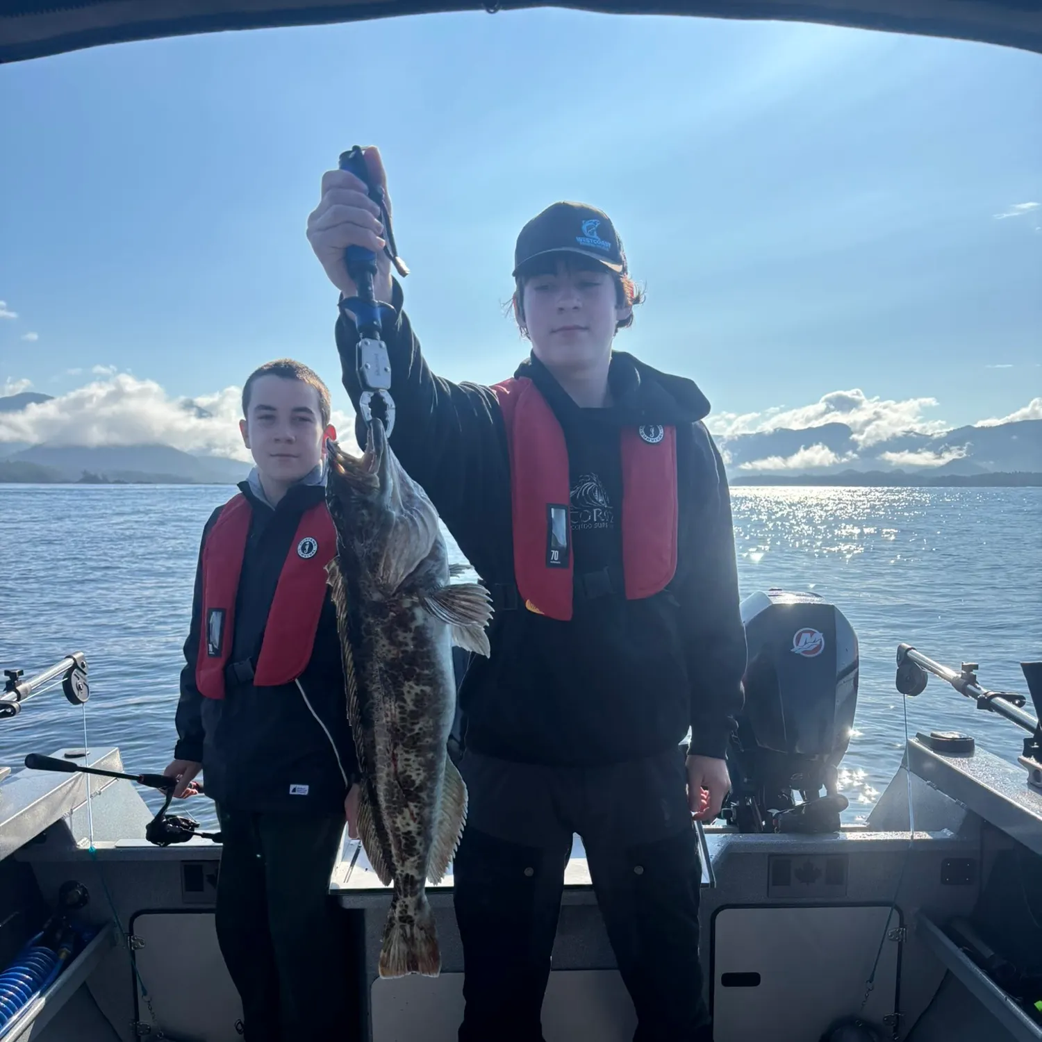 Lingcod caught on Fishbrain