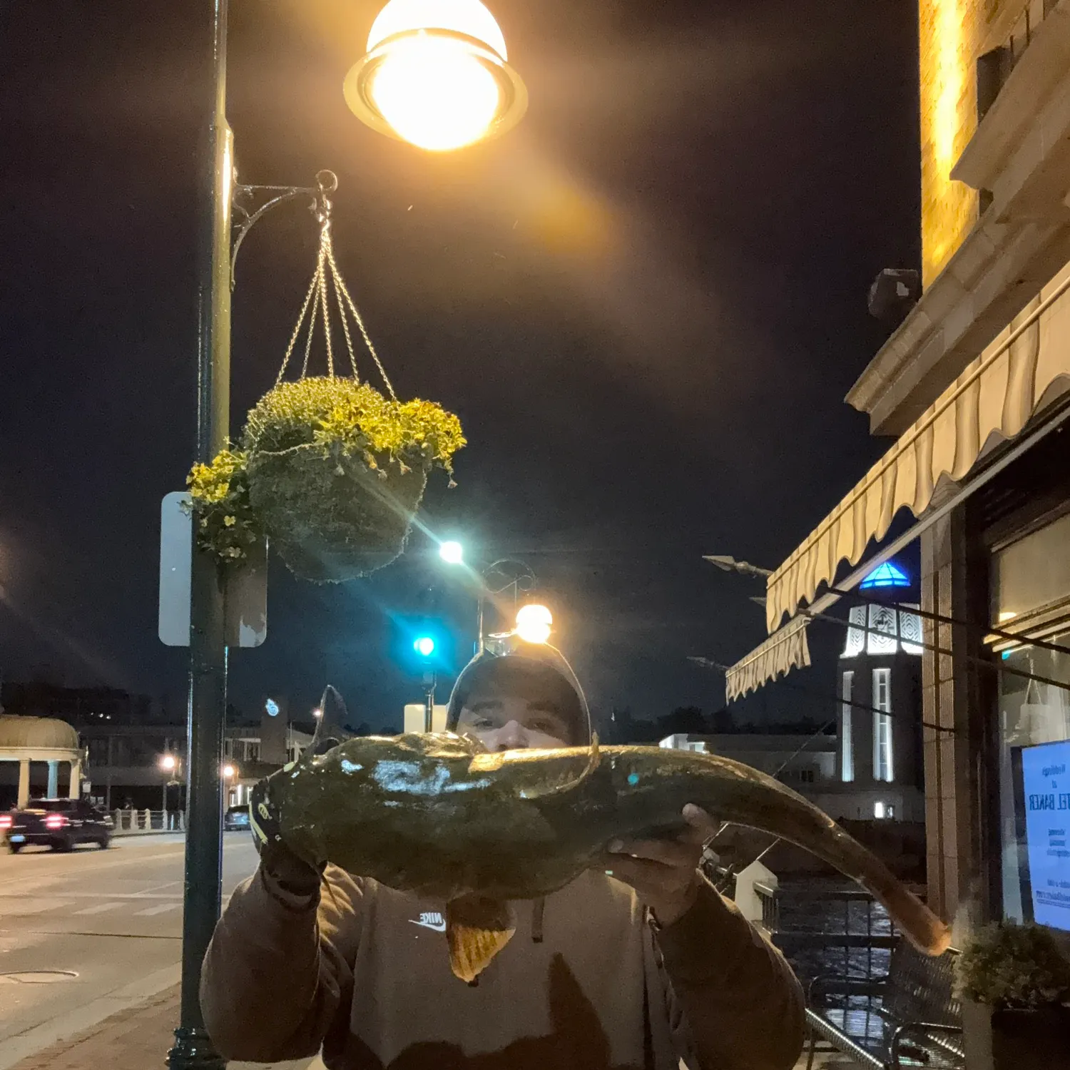 Flathead catfish caught on Fishbrain