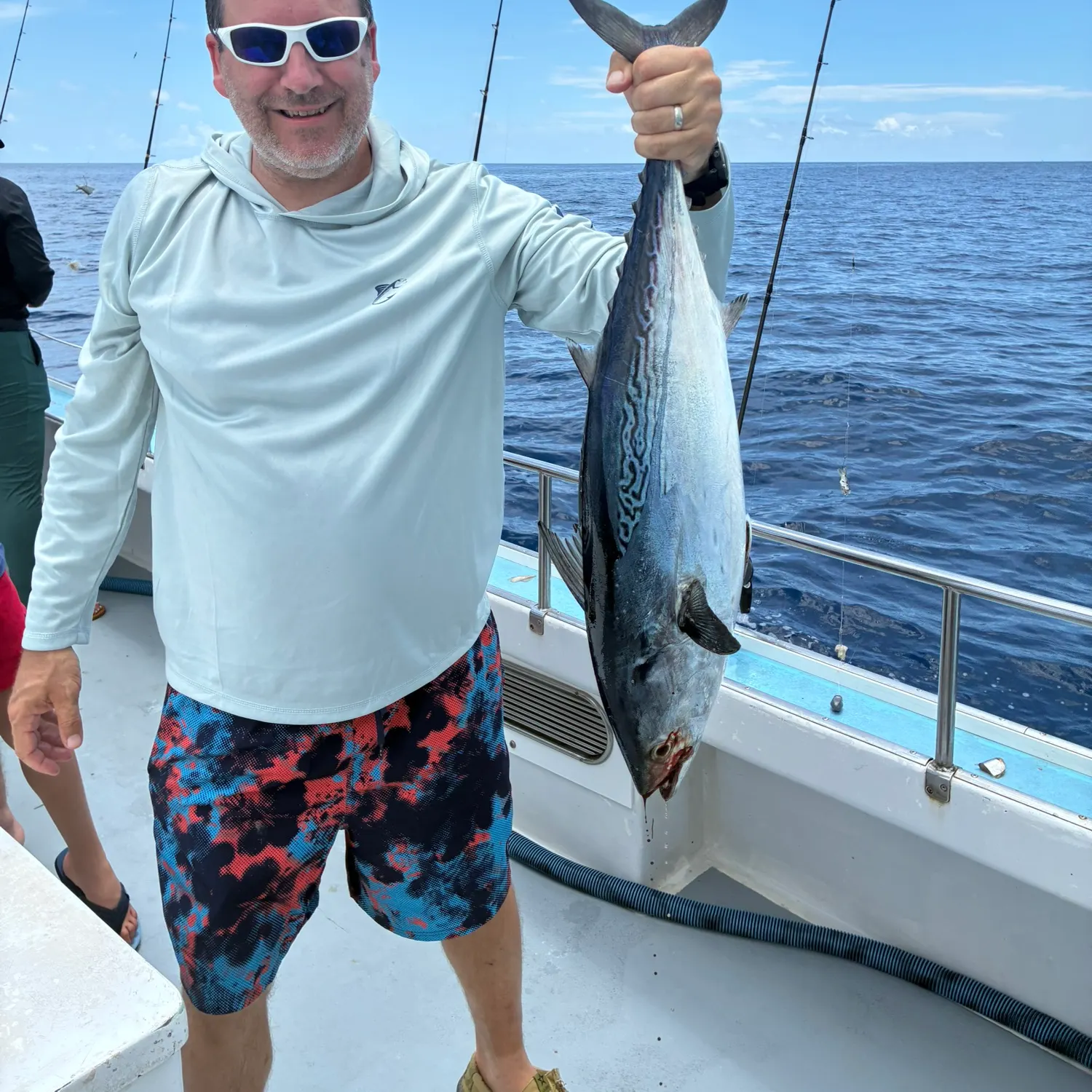 The most recent Atlantic bonito catches on Fishbrain