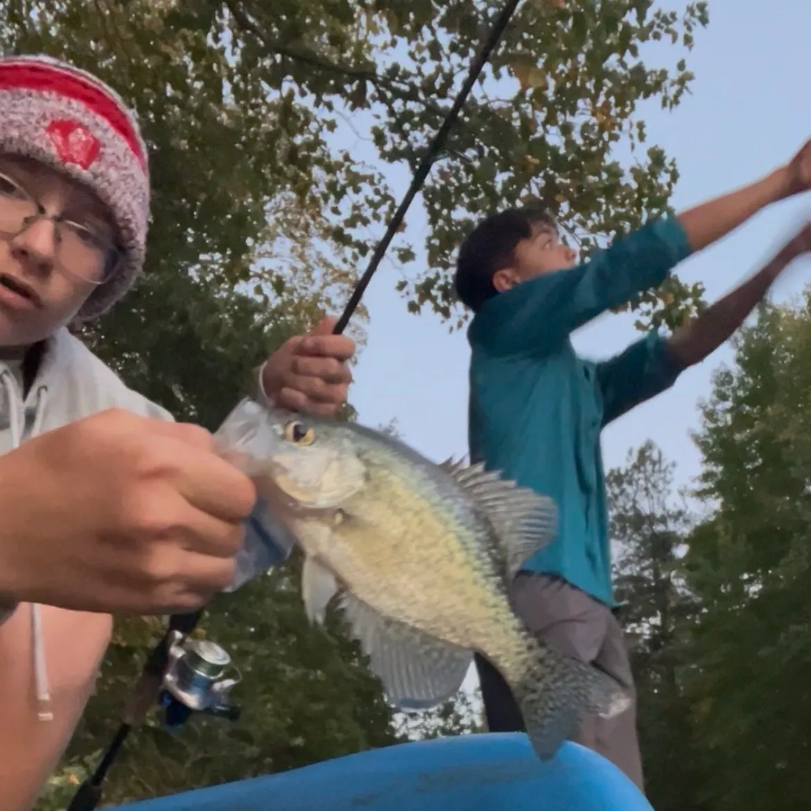Black crappie caught on Fishbrain