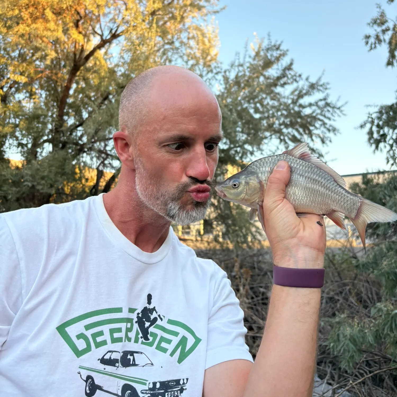 Common carp caught on Fishbrain