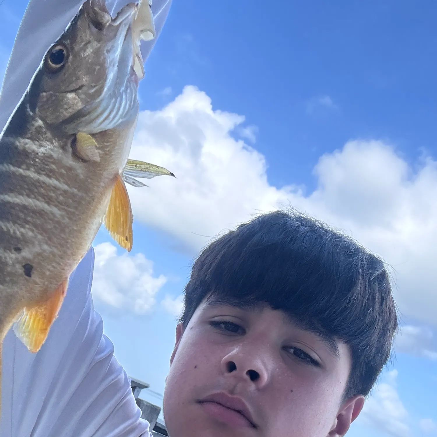 The most recent Schoolmaster snapper catches on Fishbrain
