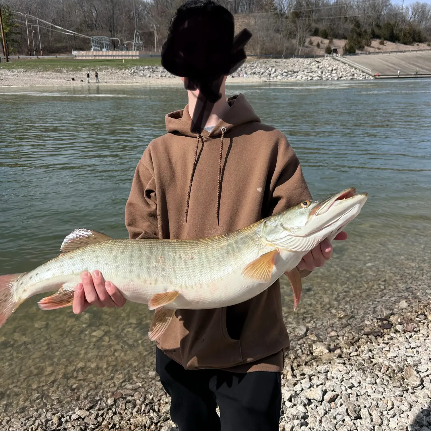 The most recent Muskellunge catches on Fishbrain