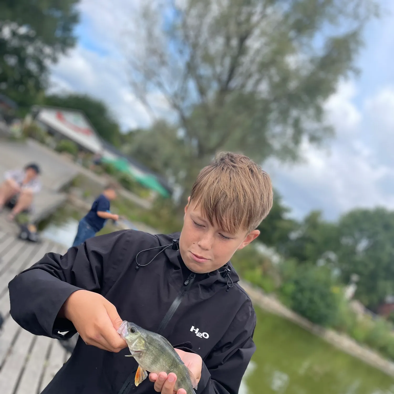 European perch caught on Fishbrain