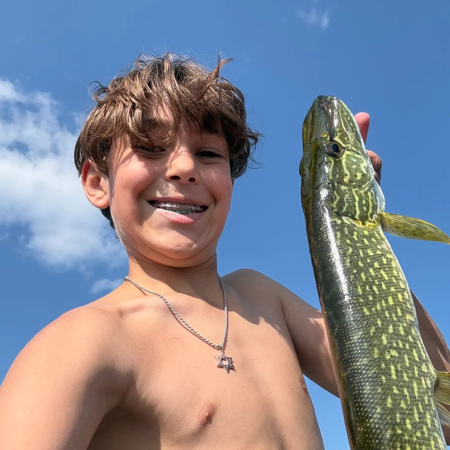 Northern pike caught on Fishbrain