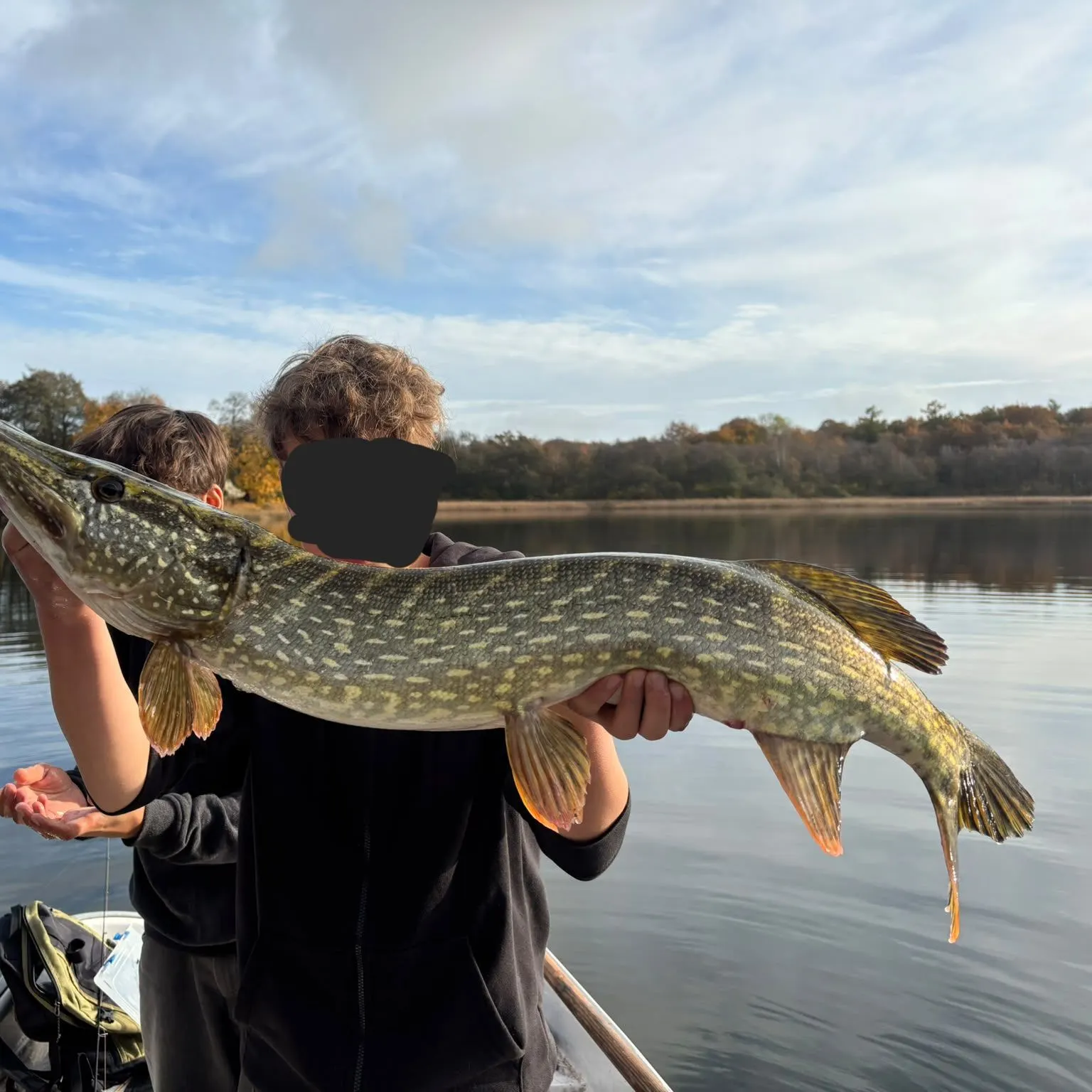 Northern pike caught on Fishbrain