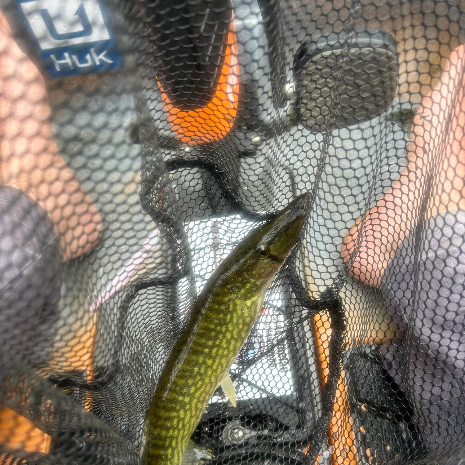 catch