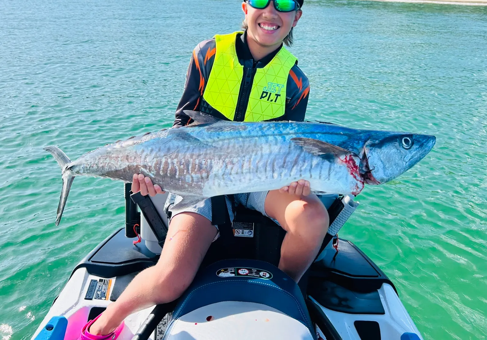 Narrow-barred Spanish mackerel