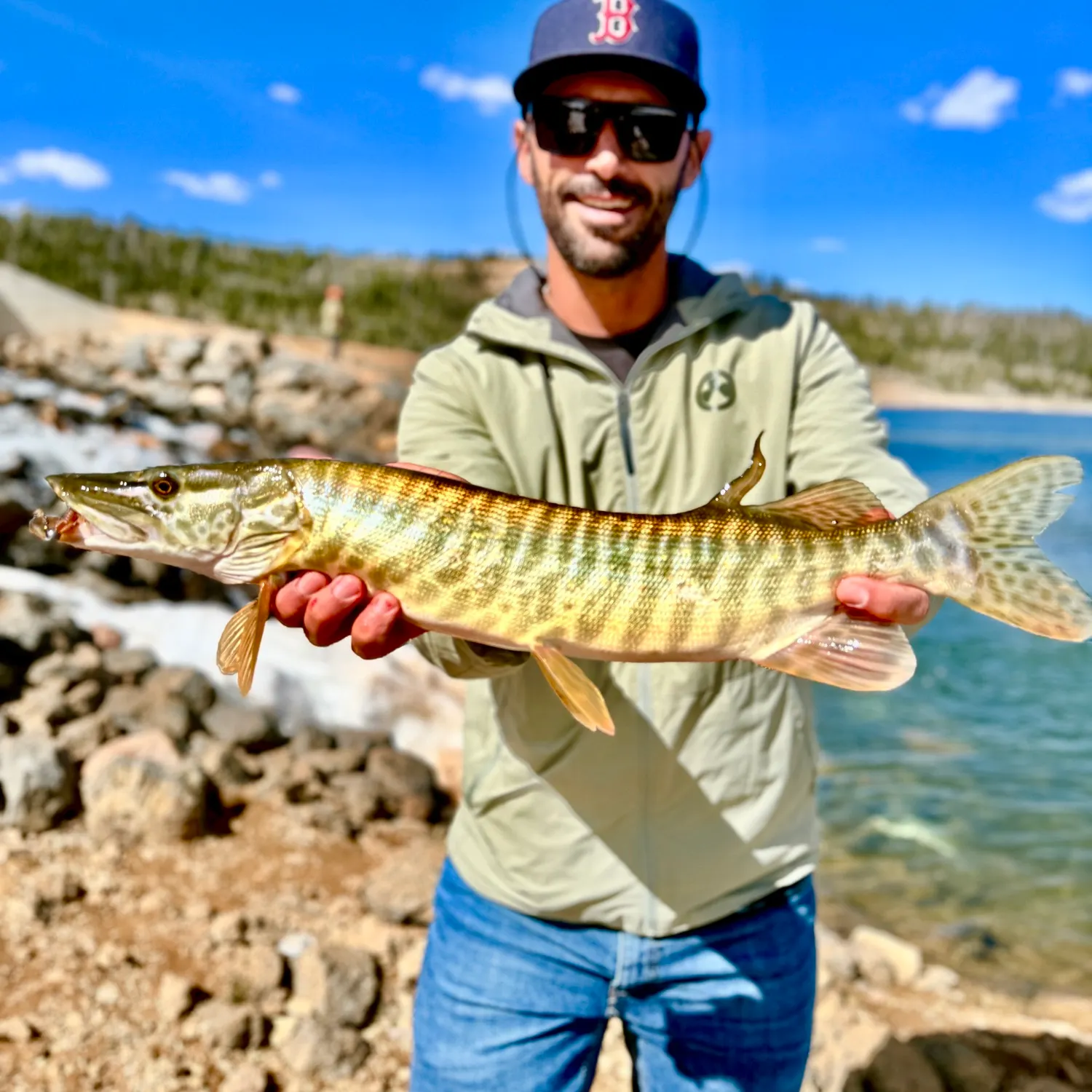 The most recent Tiger muskellunge catches on Fishbrain