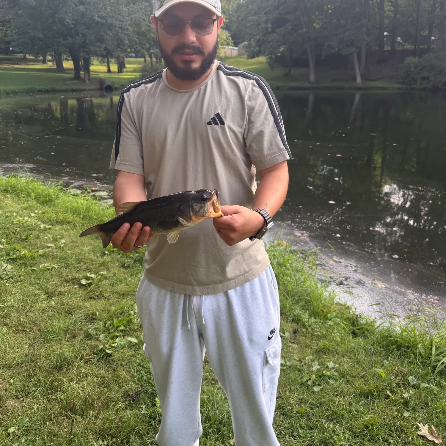 Largemouth bass caught on Fishbrain