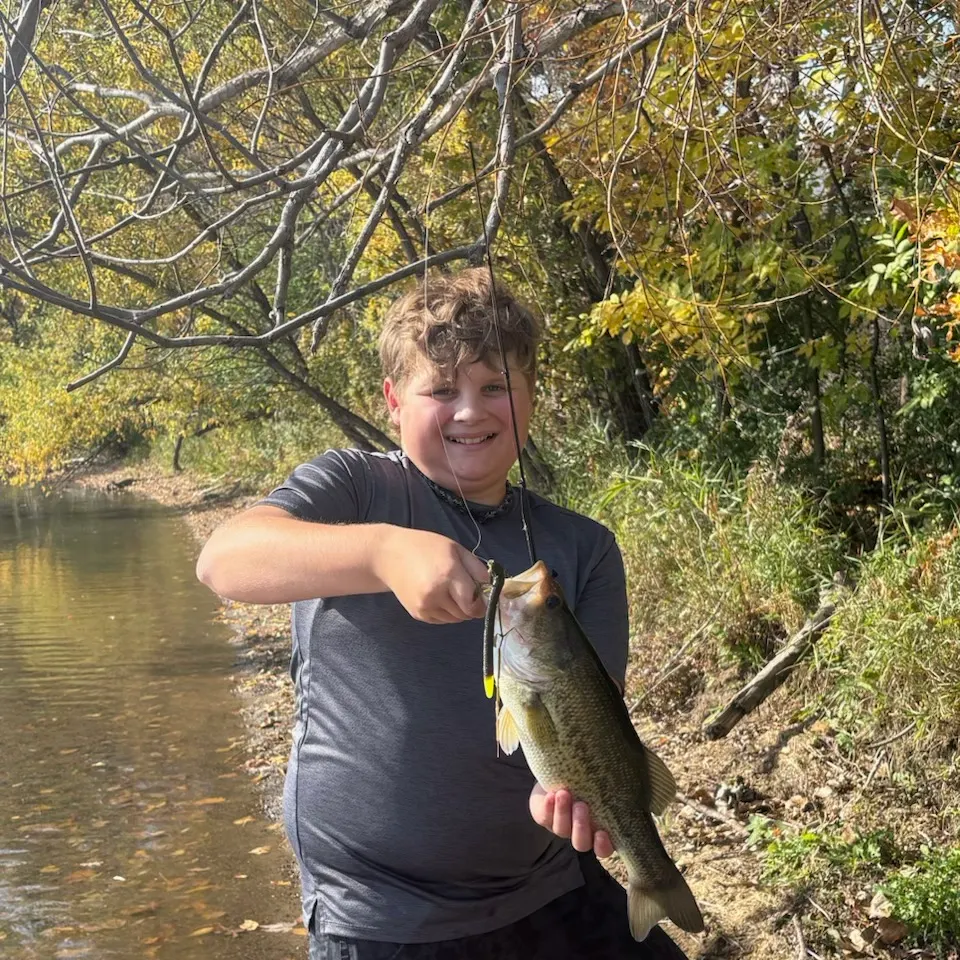 Largemouth bass caught on Fishbrain