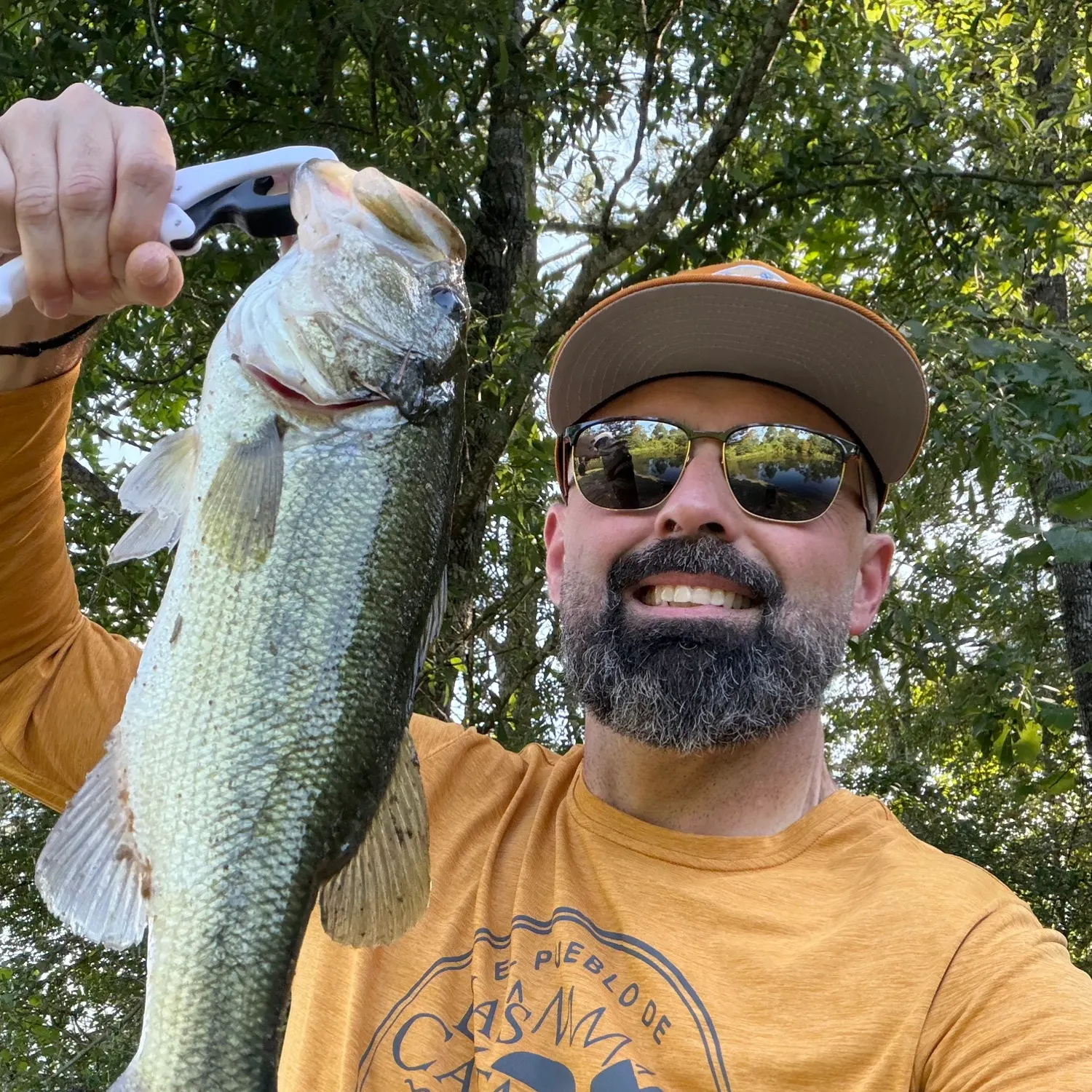 Largemouth bass caught on Fishbrain