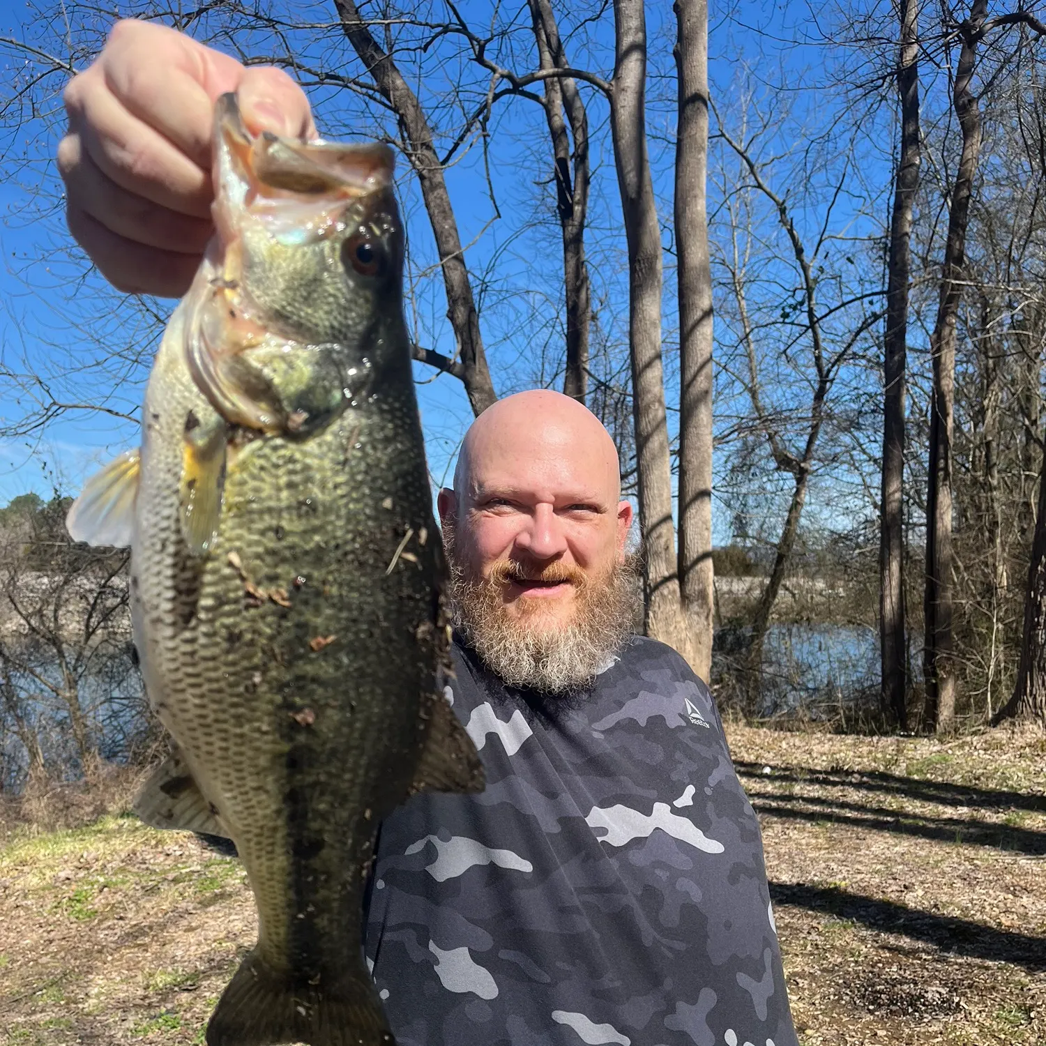 The most recent Alabama bass catches on Fishbrain