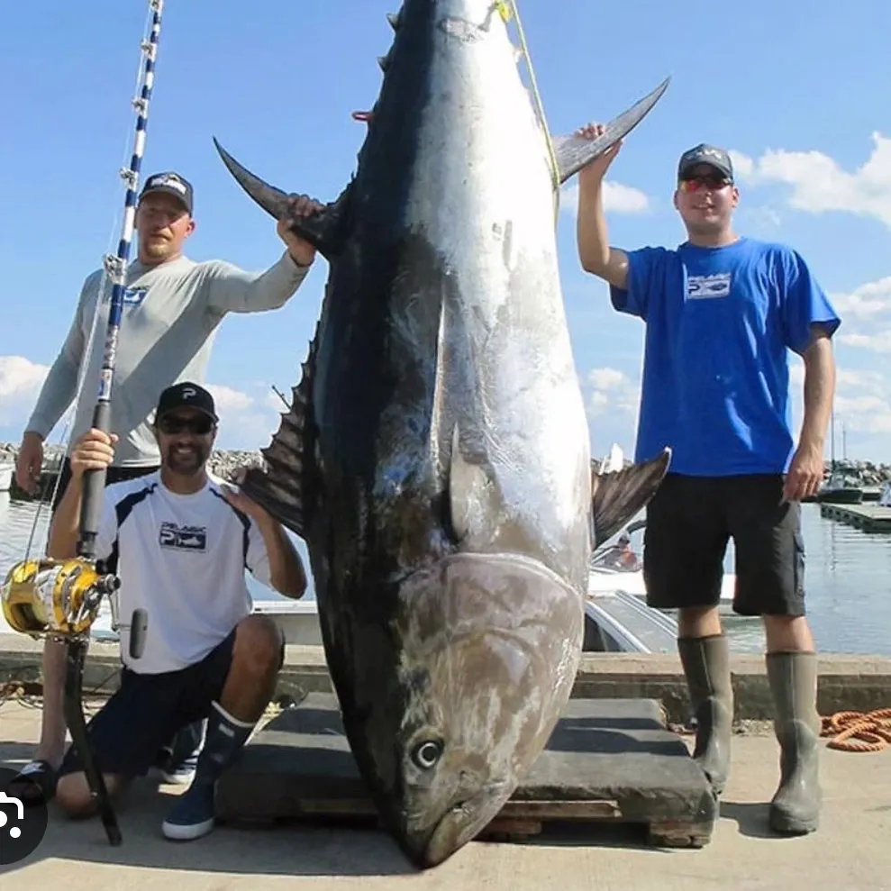 Atlantic bluefin tuna caught on Fishbrain