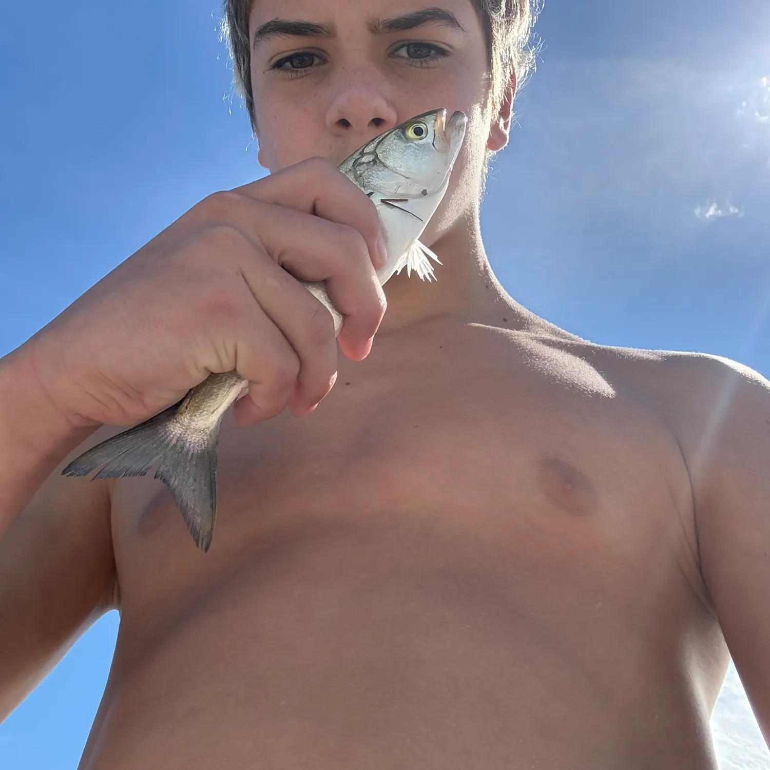 Bluefish caught on Fishbrain