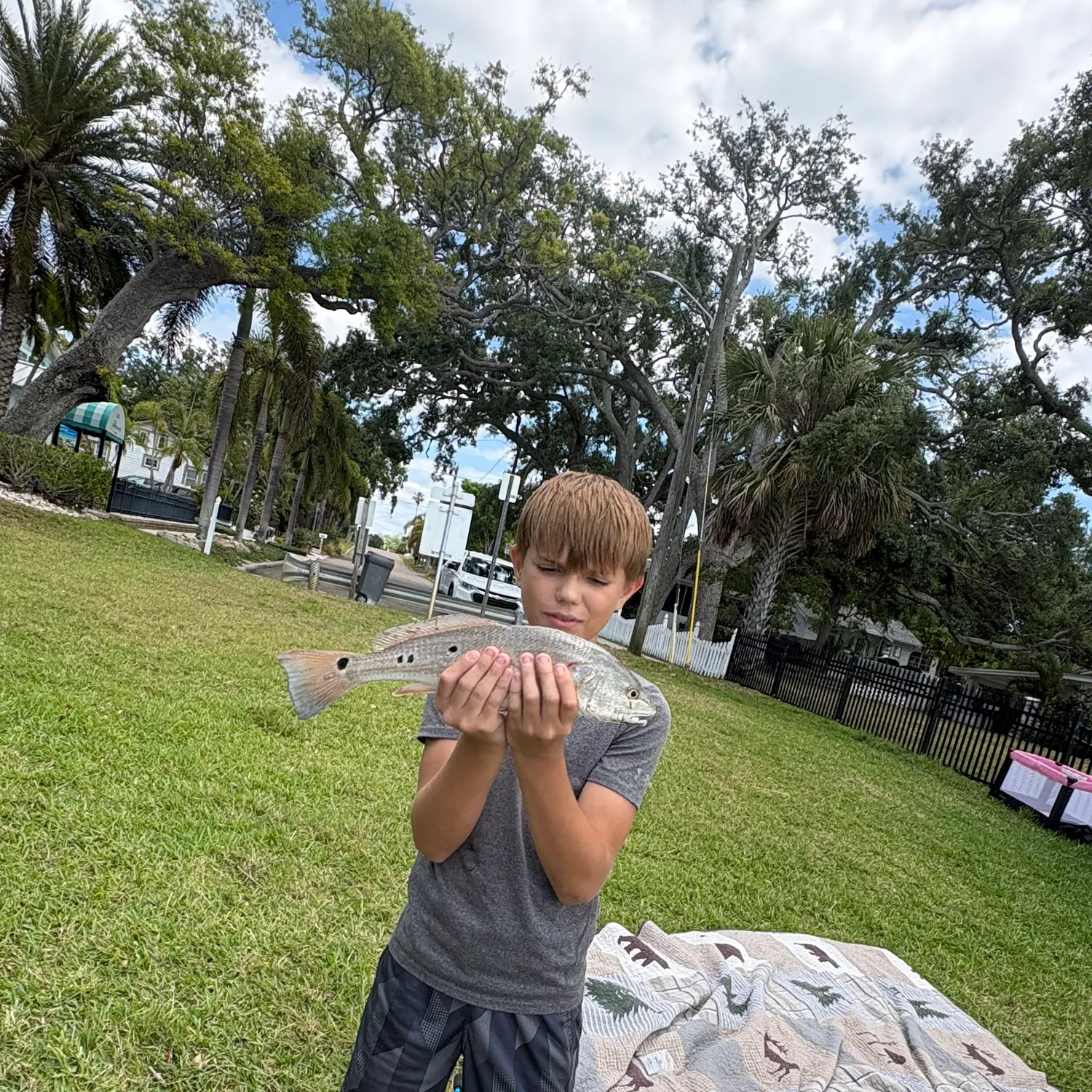 catch