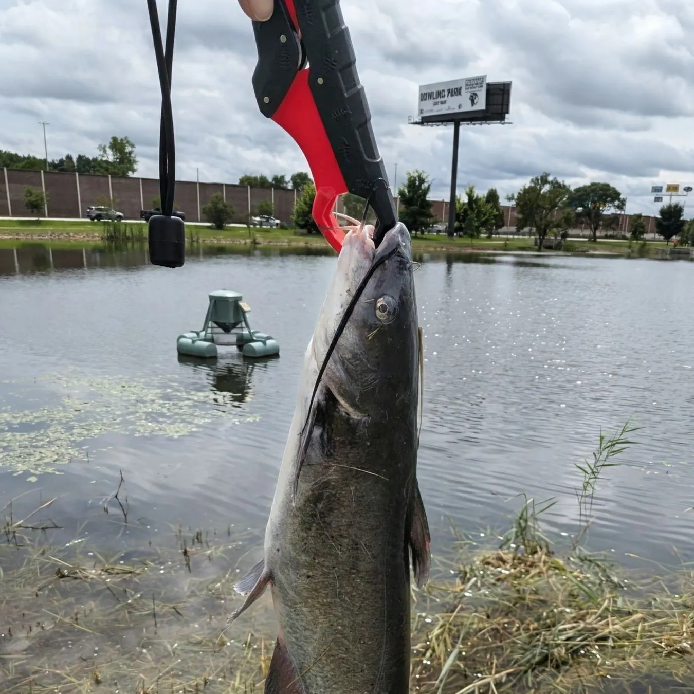 catch