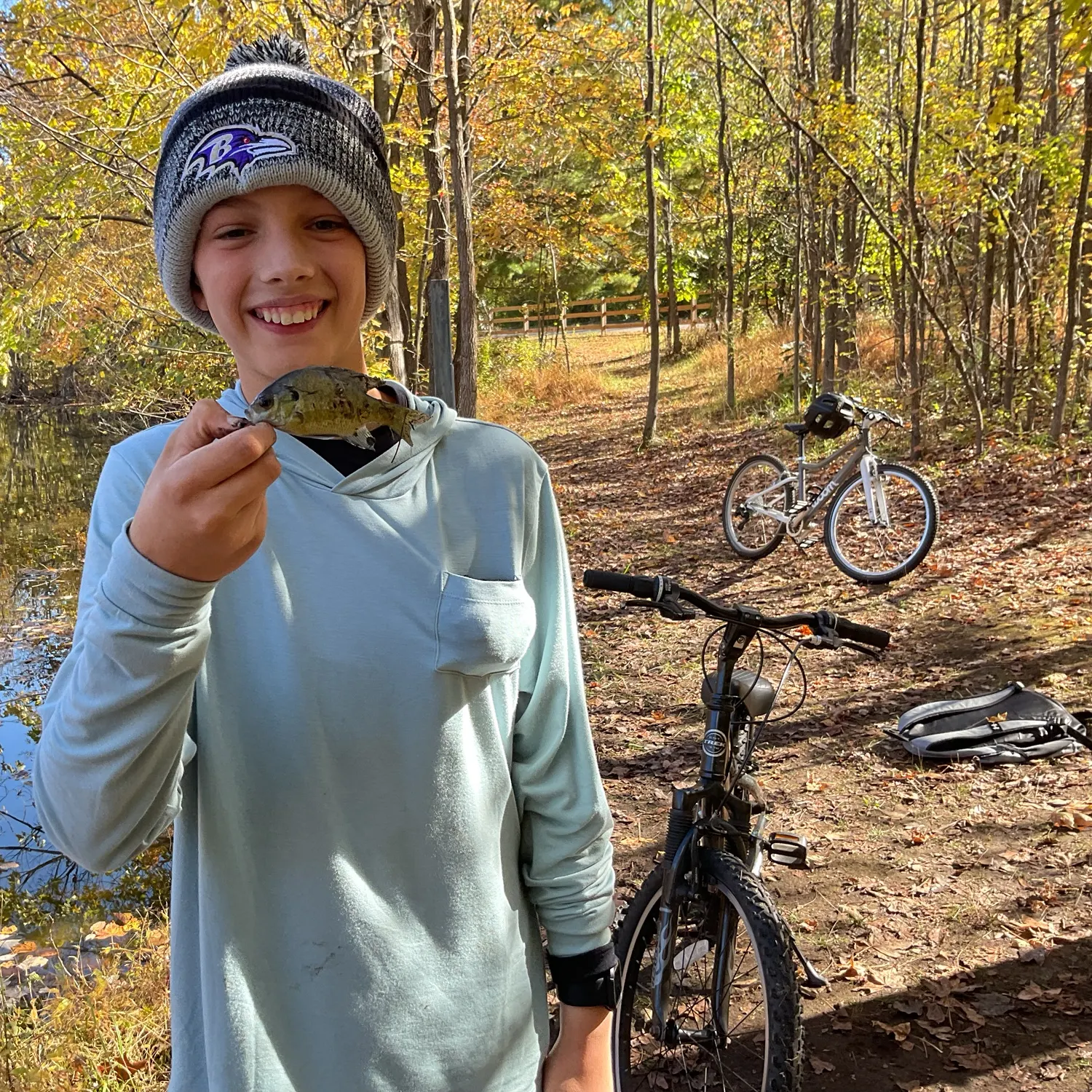 Green sunfish caught on Fishbrain