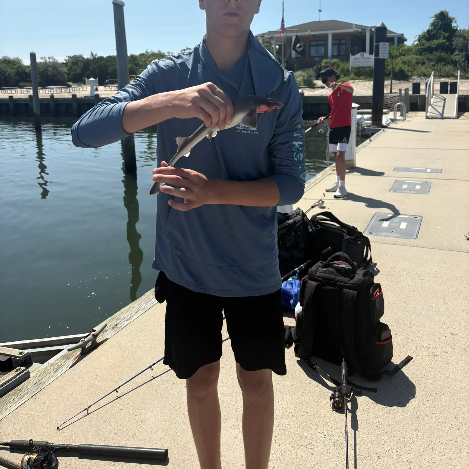 The most recent Piked dogfish catches on Fishbrain