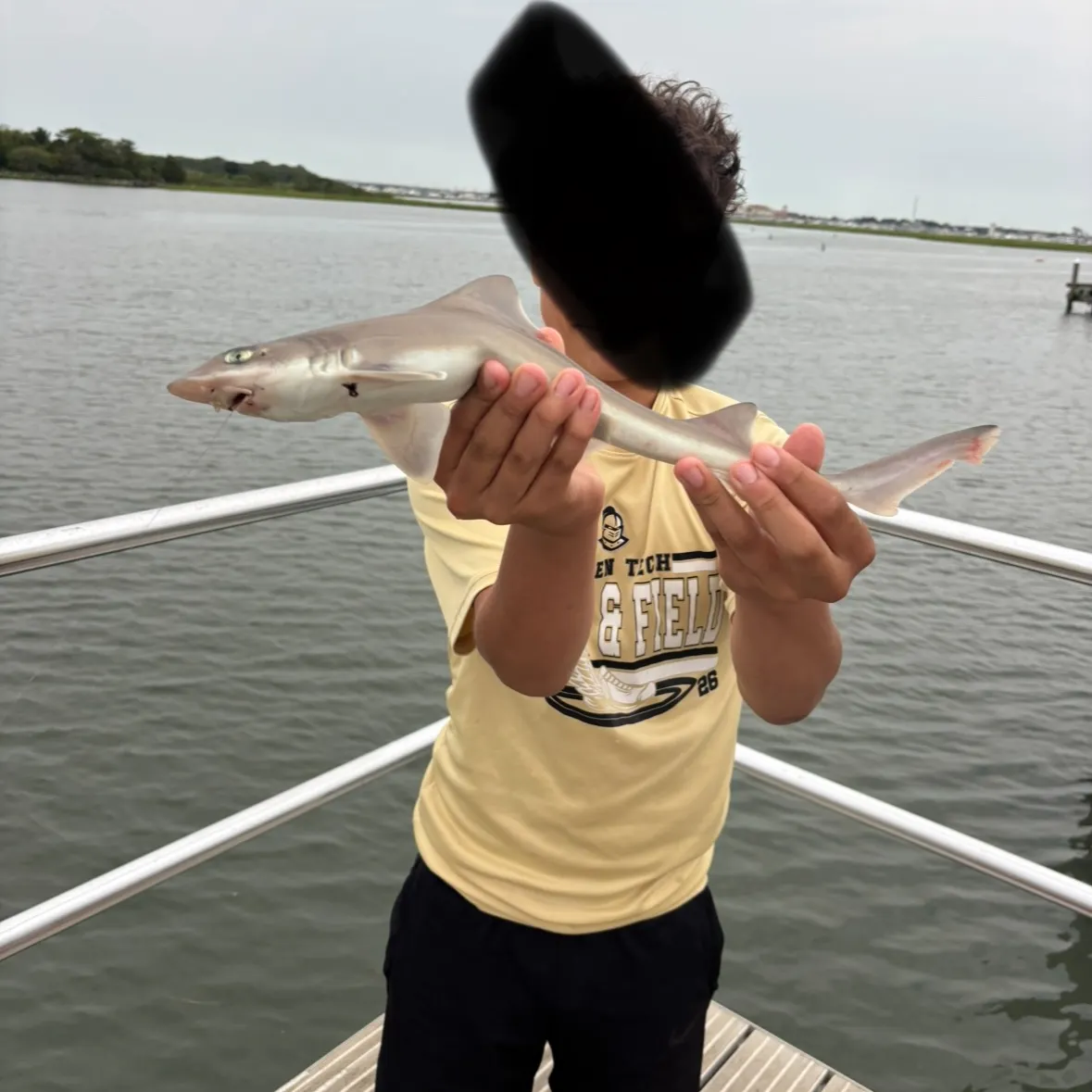 The most recent Dusky smooth-hound catches on Fishbrain