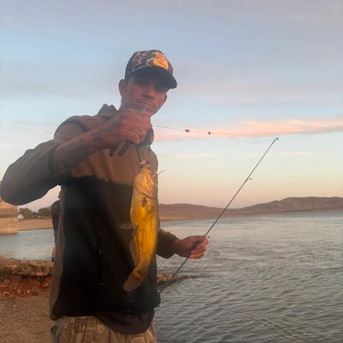 Yellow bullhead caught on Fishbrain