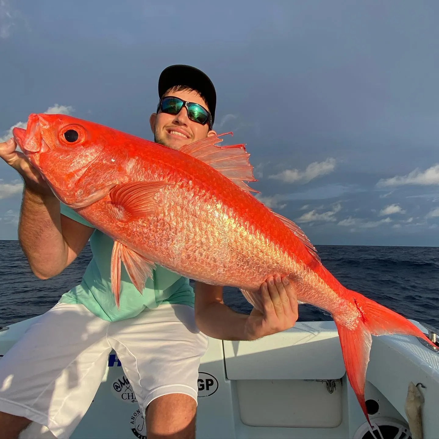 The most recent Queen Snapper catches on Fishbrain