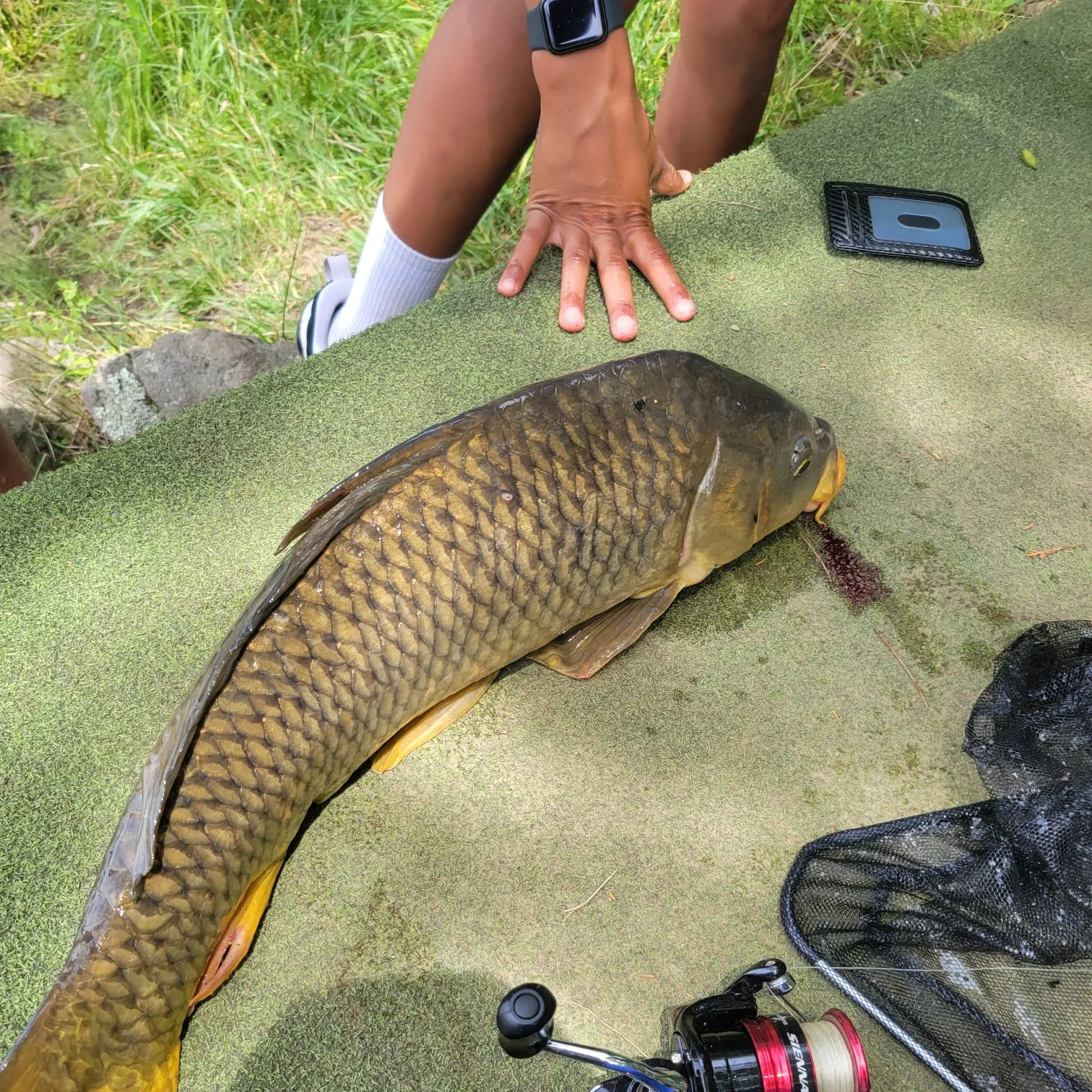 catch