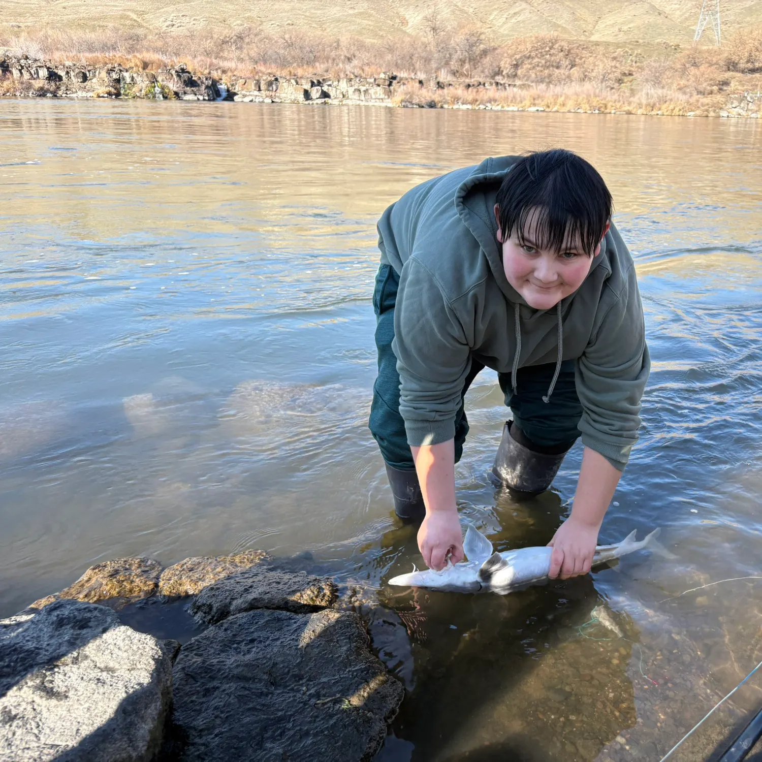 The most recent White sturgeon catches on Fishbrain