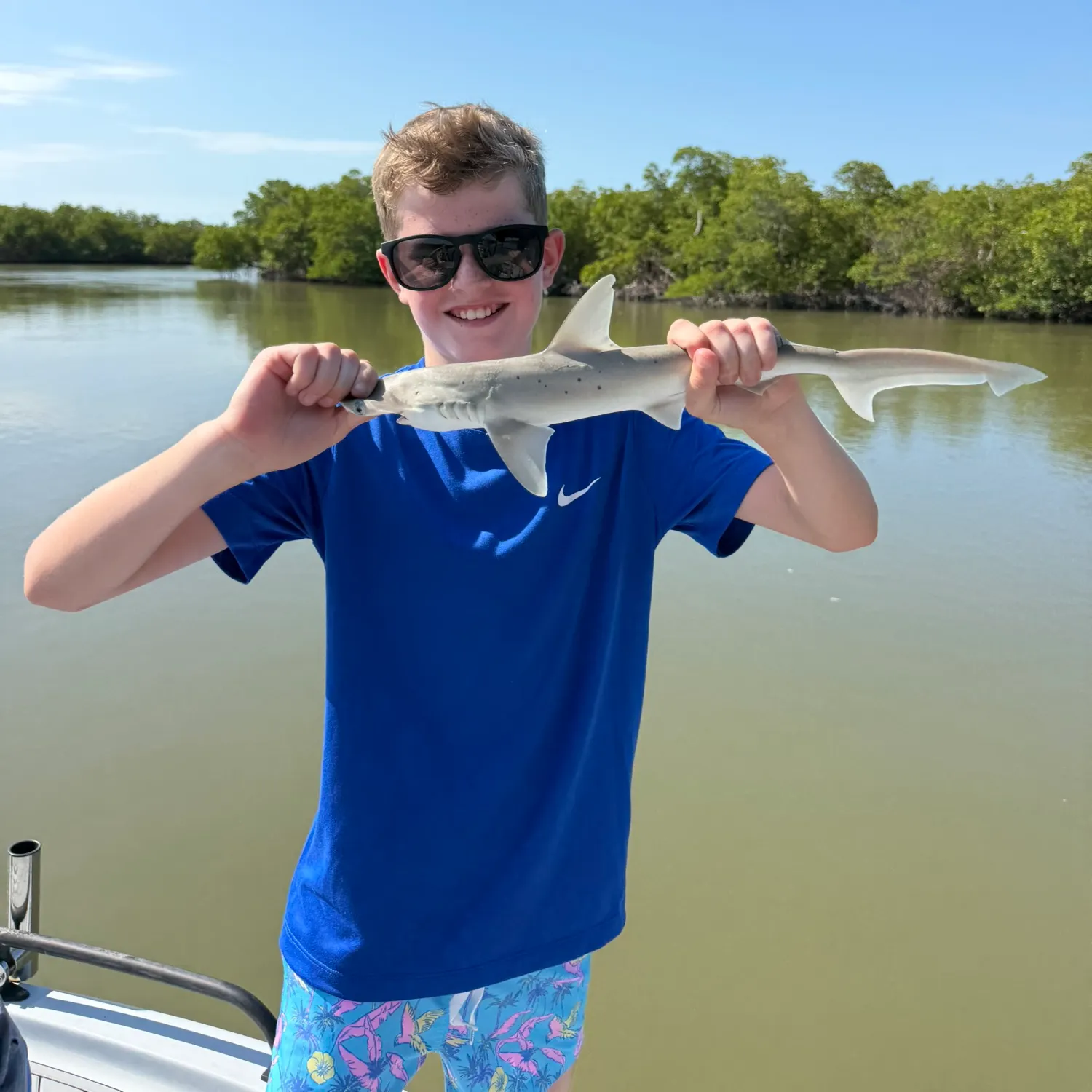 The most recent Bonnethead shark catches on Fishbrain