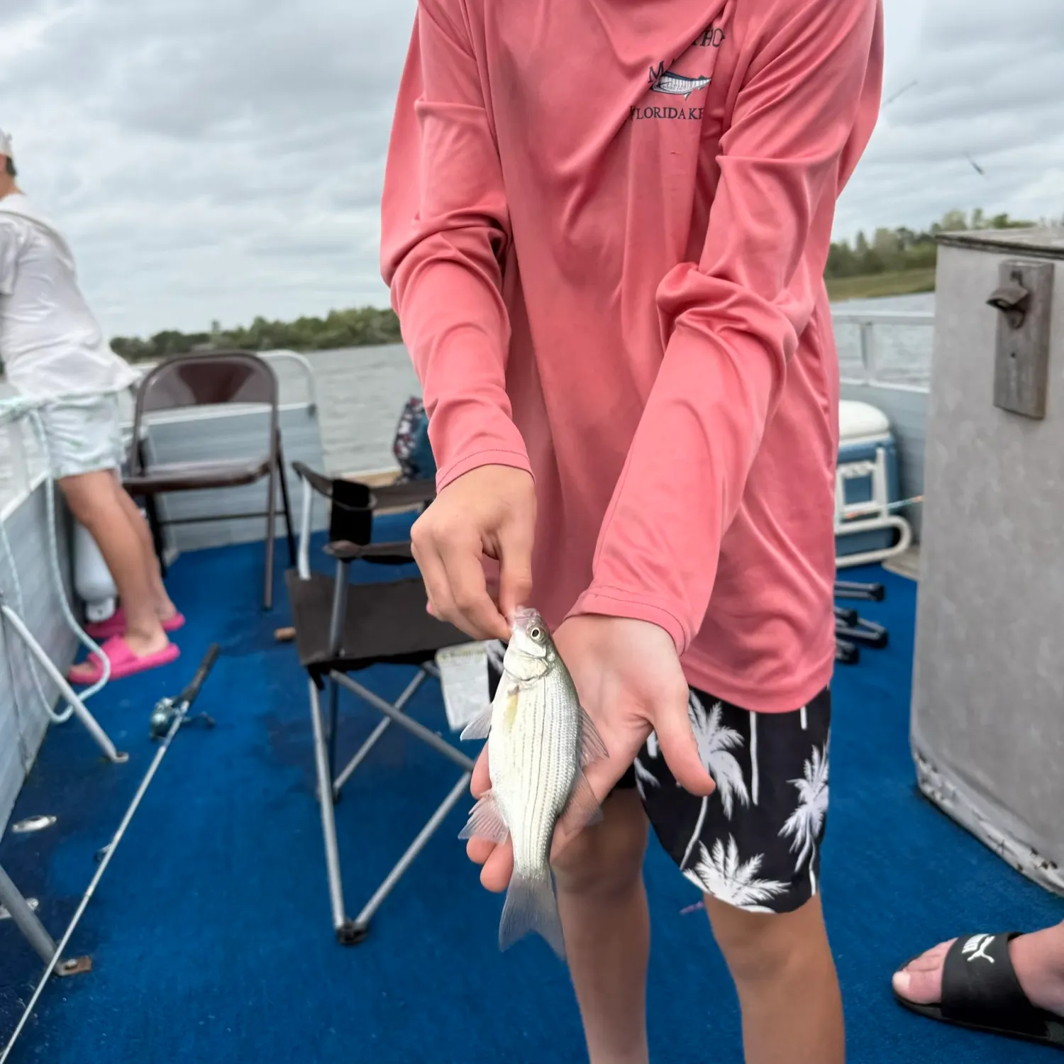 The most recent White bass catches on Fishbrain