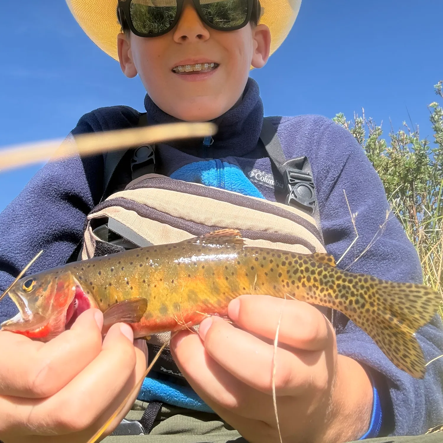 Rio Grande cutthroat trout caught on Fishbrain