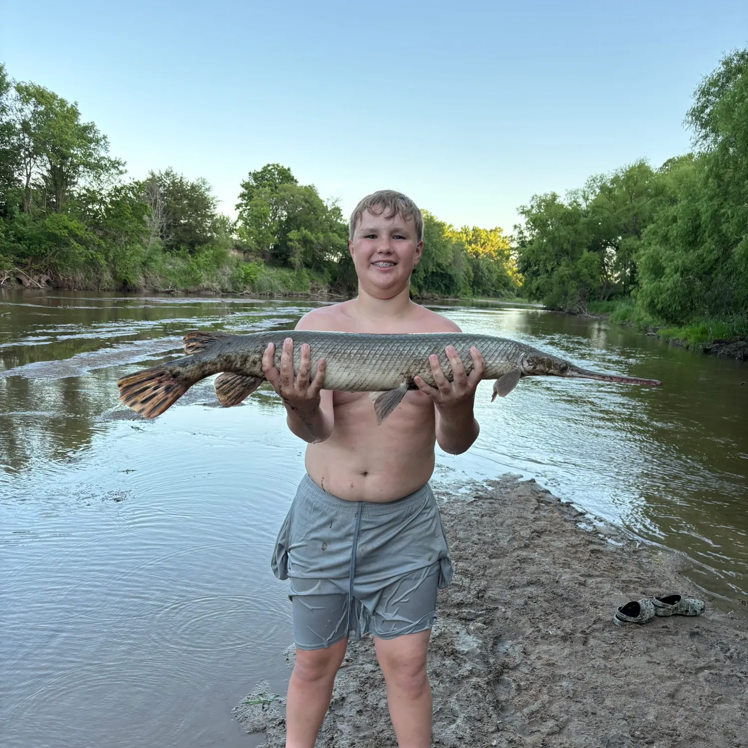 The most recent Spotted gar catches on Fishbrain