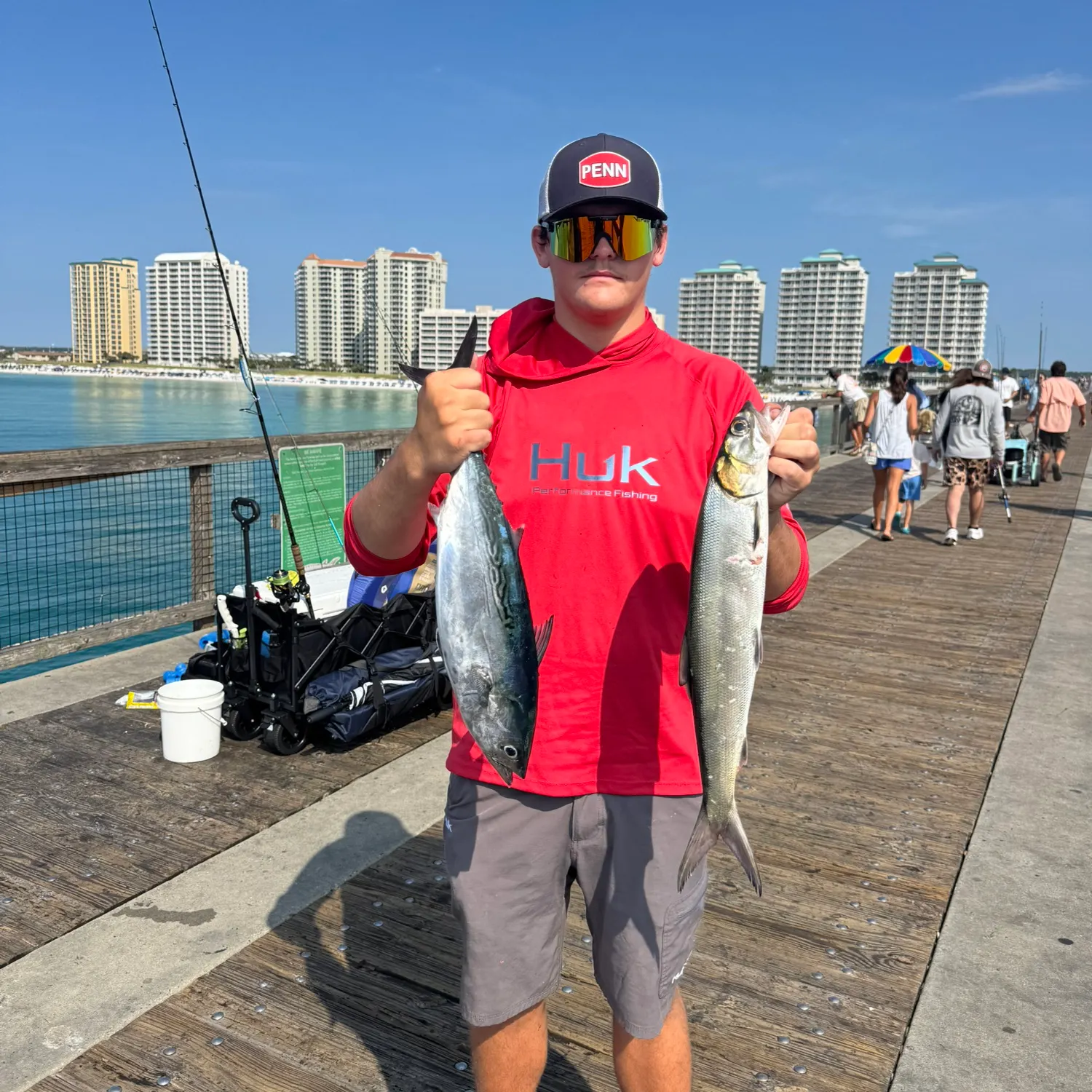 Ladyfish caught on Fishbrain
