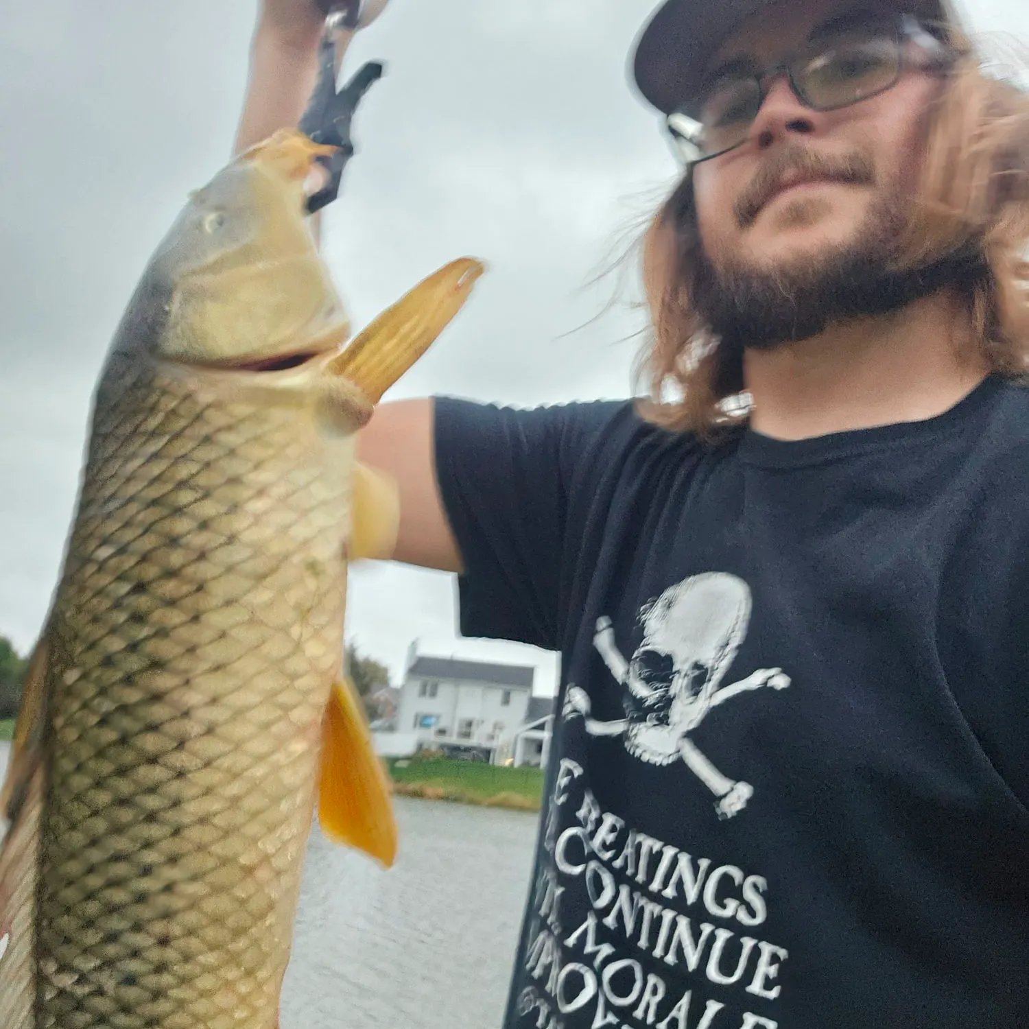 Common carp caught on Fishbrain
