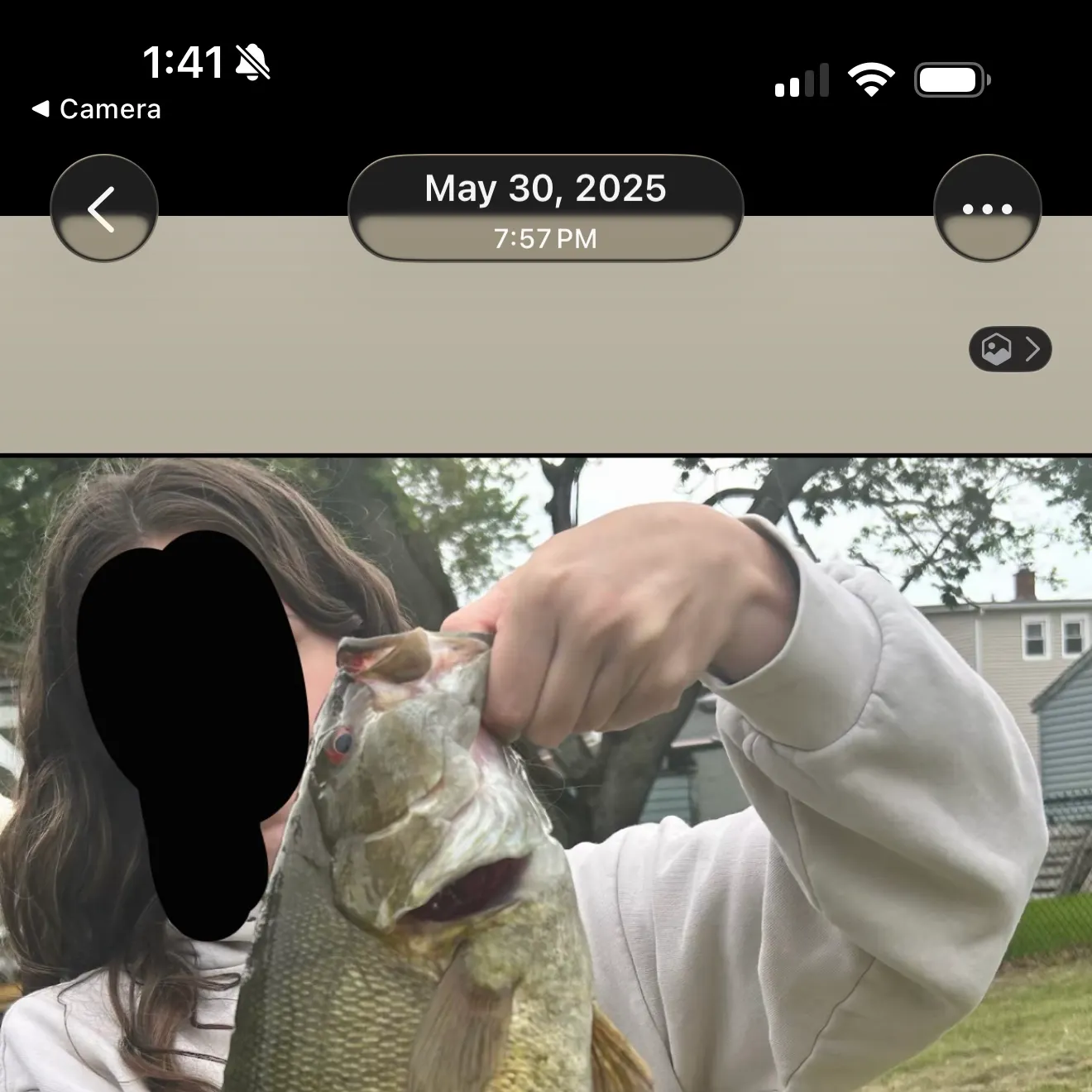 recently logged catches