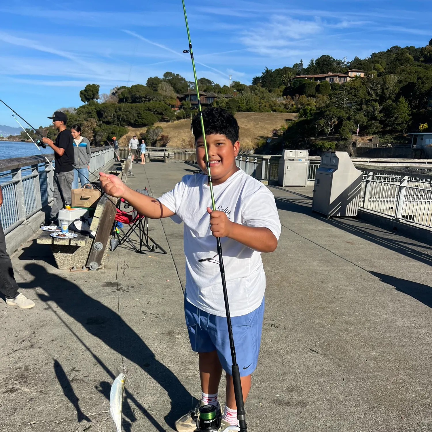 Surf smelt caught on Fishbrain