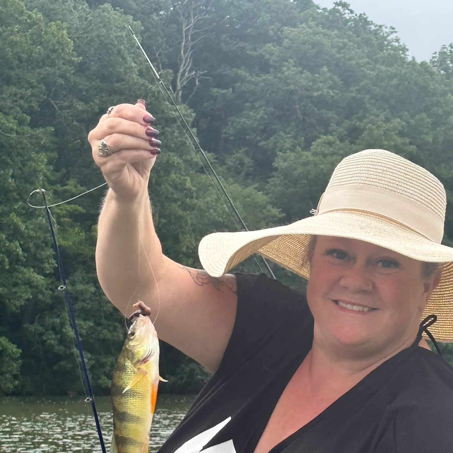 Yellow perch caught on Fishbrain