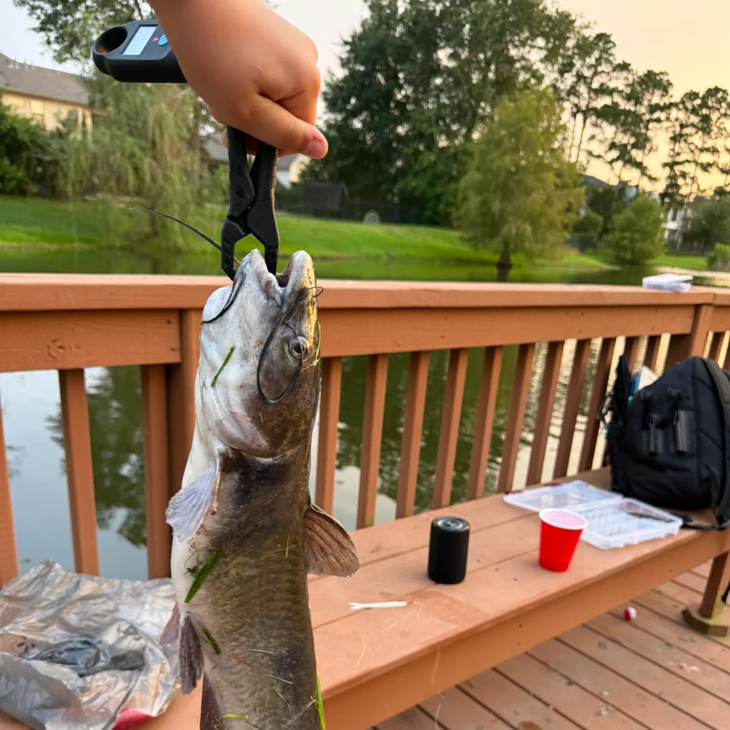 catch