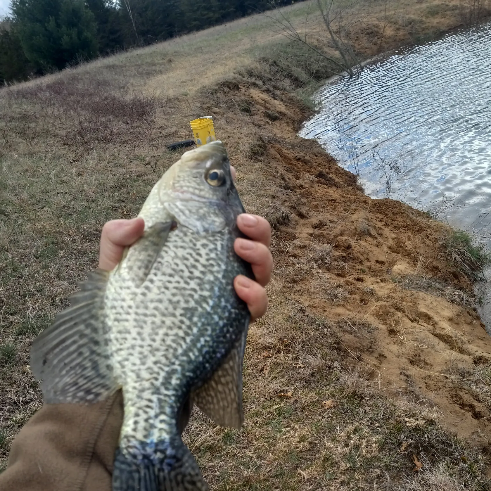 angler catch
