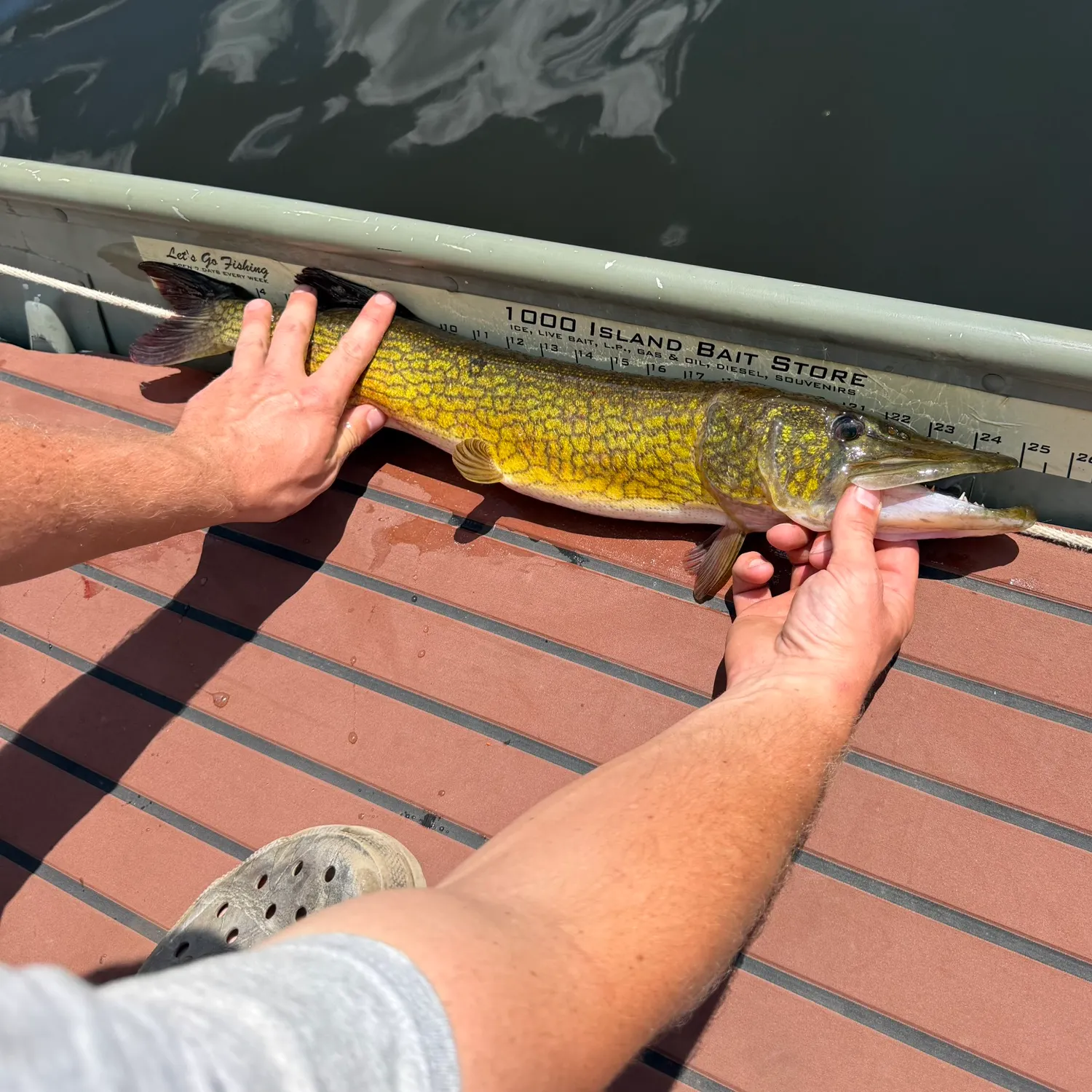 catch