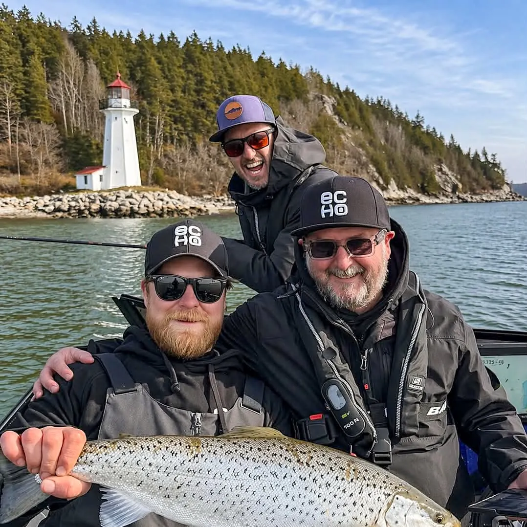 Sea trout caught on Fishbrain