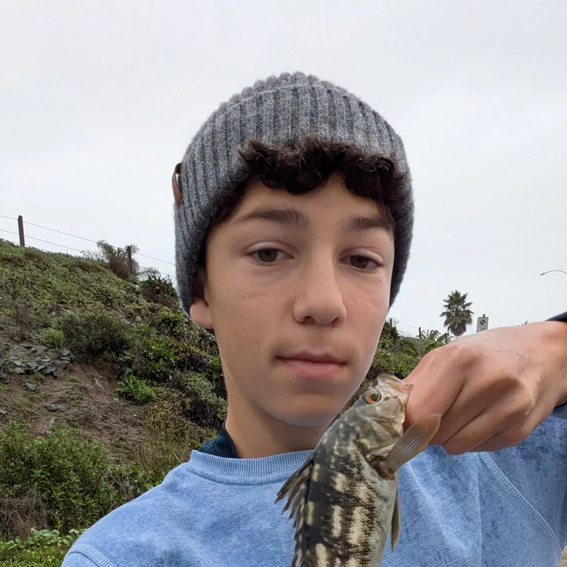 The most recent Kelp bass catches on Fishbrain
