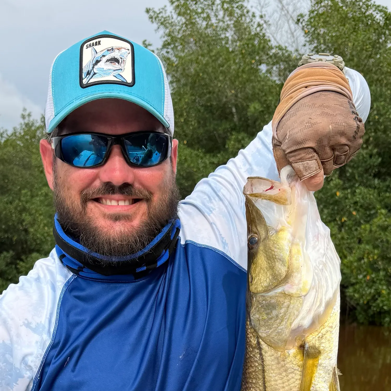 Common snook caught on Fishbrain
