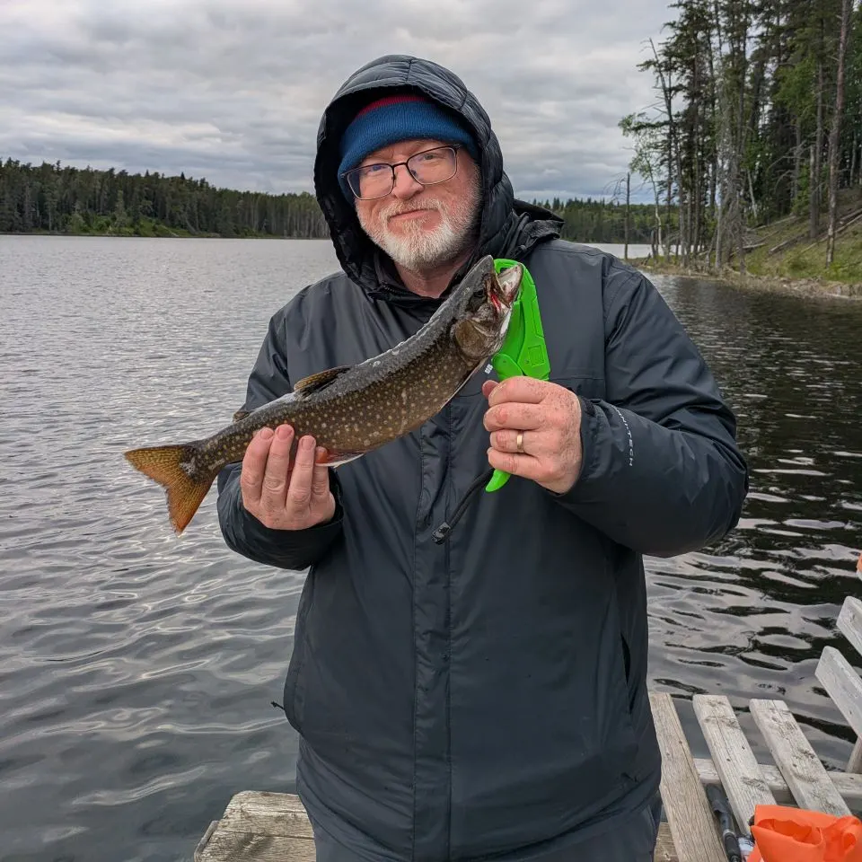 Brook trout caught on Fishbrain
