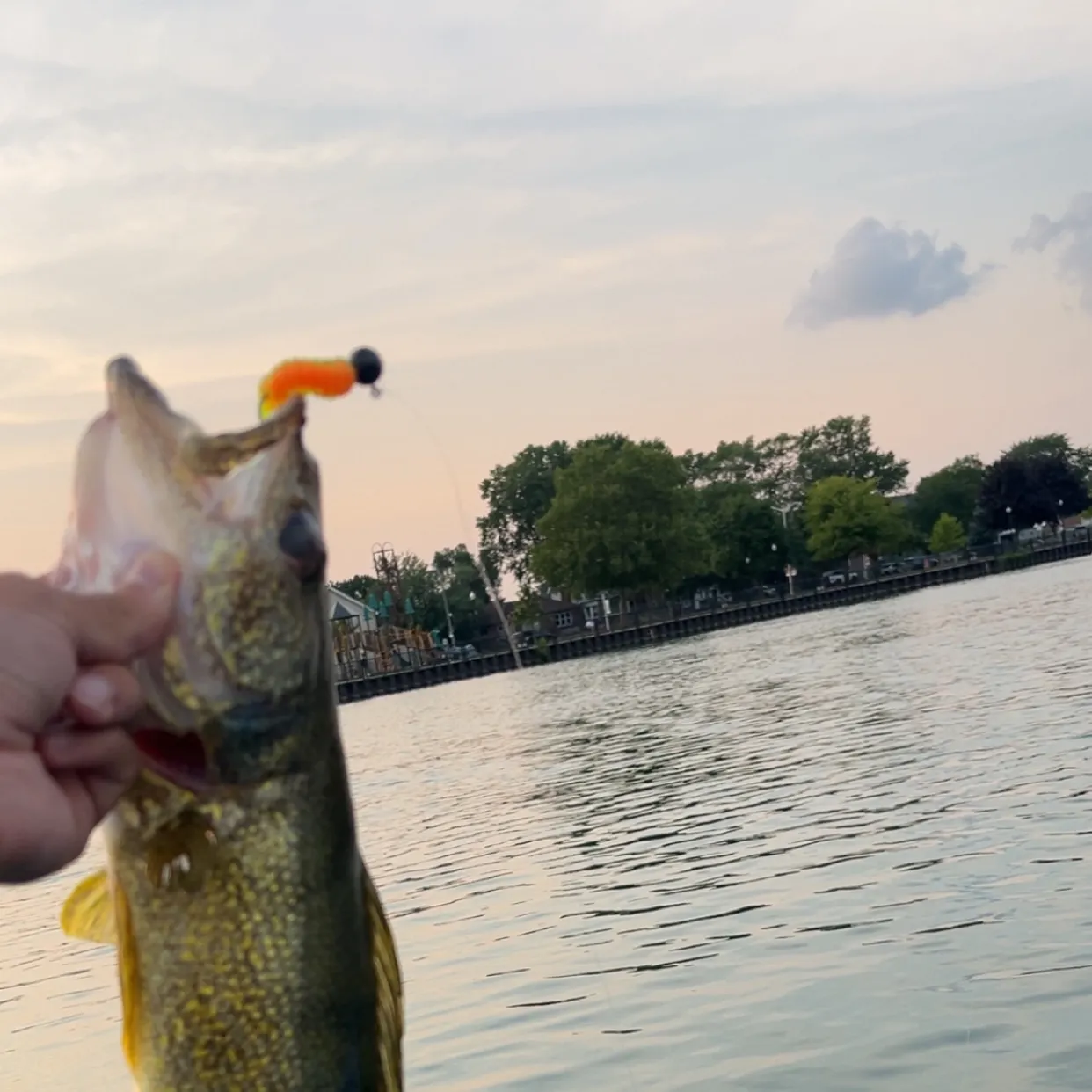 catch