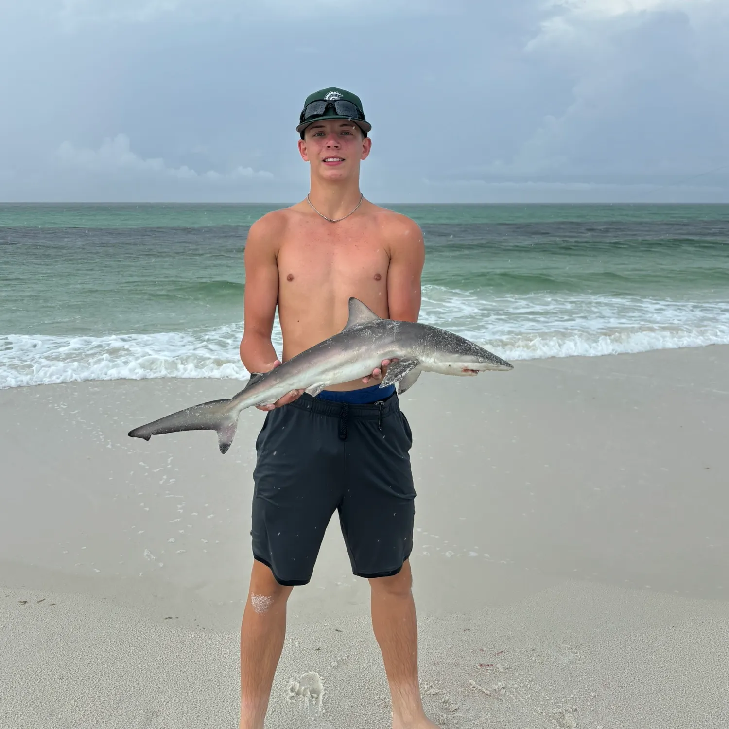 The most recent Spinner shark catches on Fishbrain