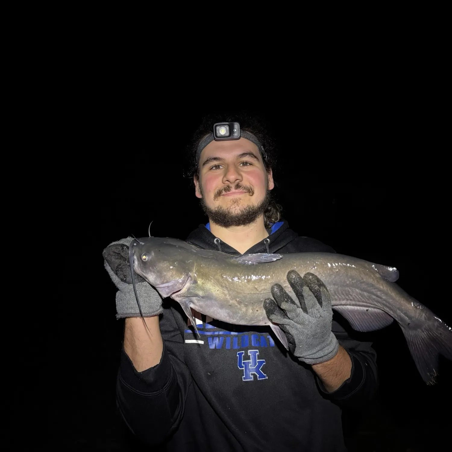 Channel catfish caught on Fishbrain
