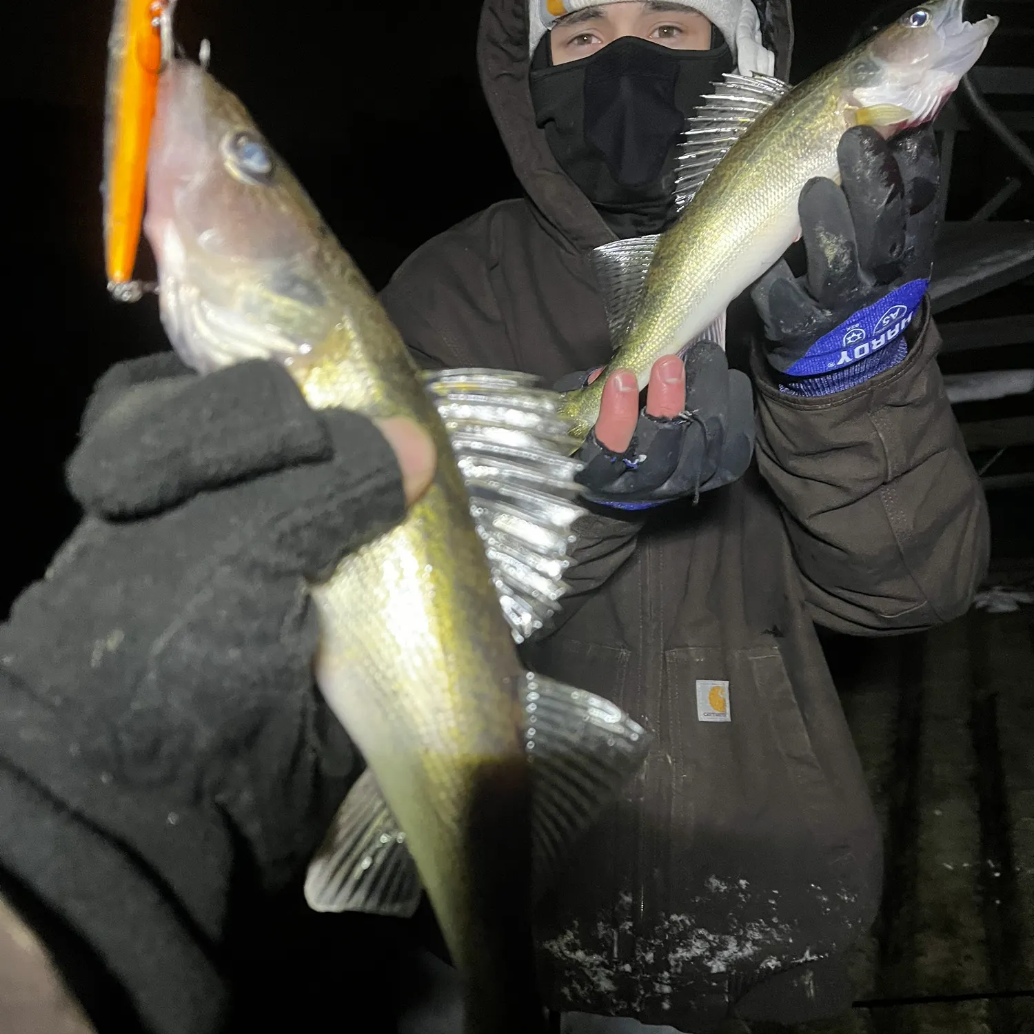 The most recent Saugeye catches on Fishbrain