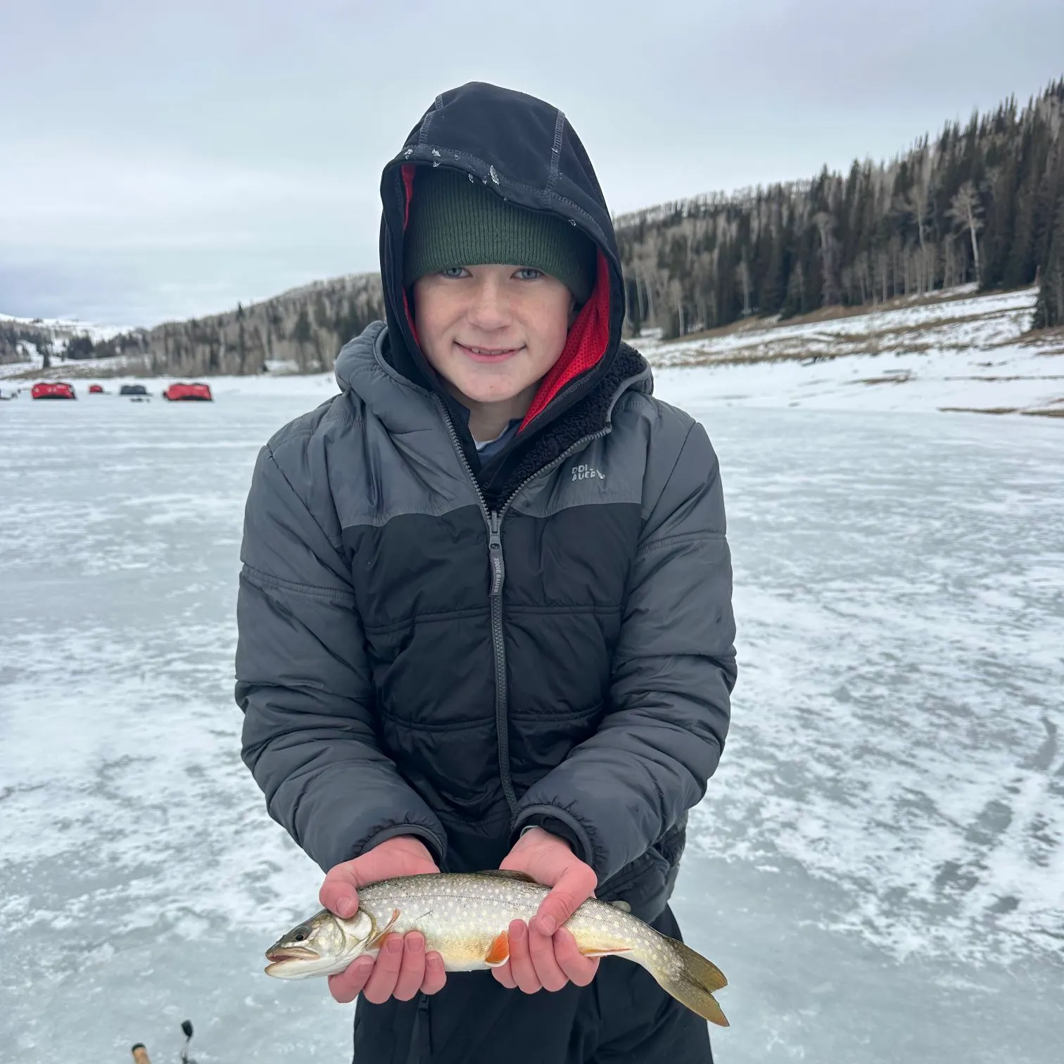 The most recent Splake catches on Fishbrain